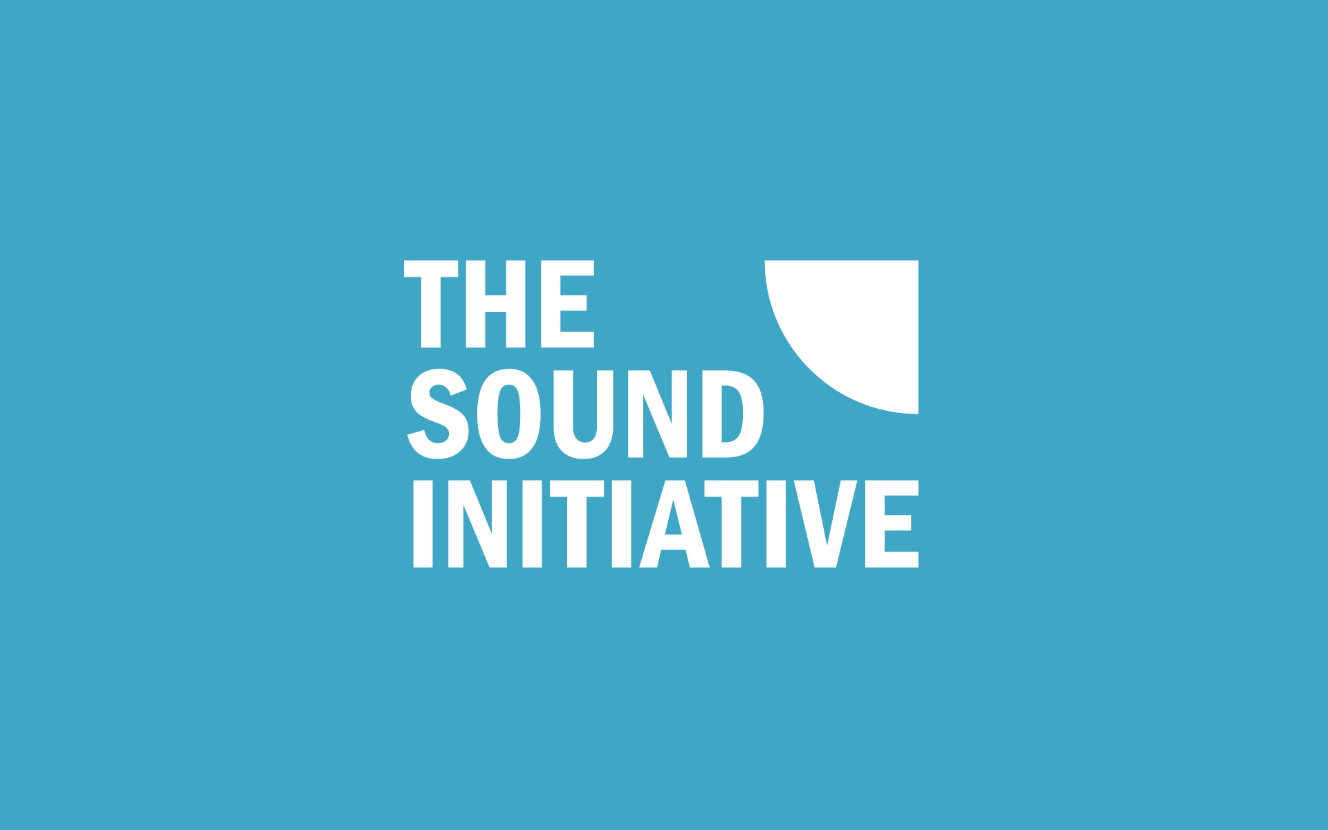 The-Sound-Initiative-Brand-Identity-Design-3