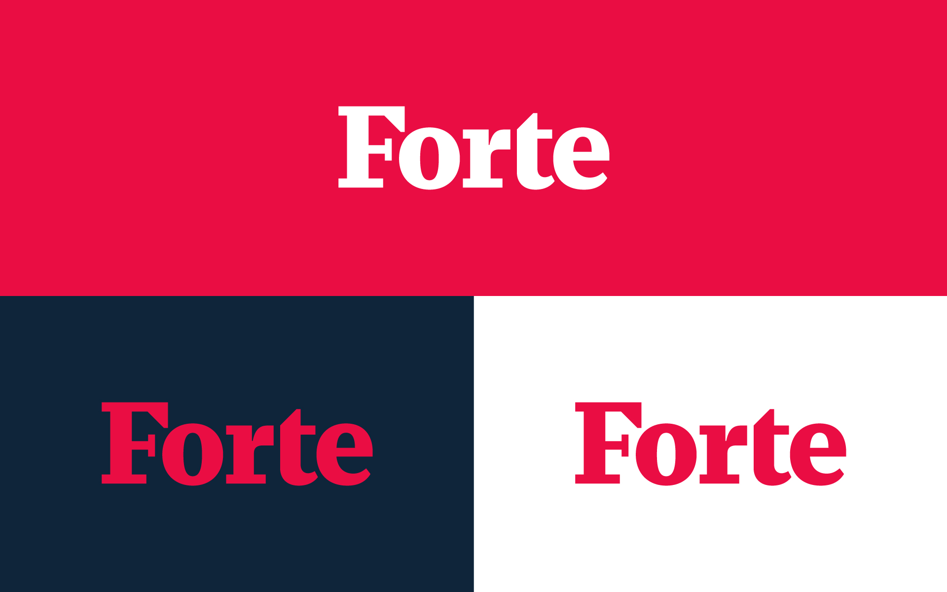 Forte-Brand-Identity-Design-5