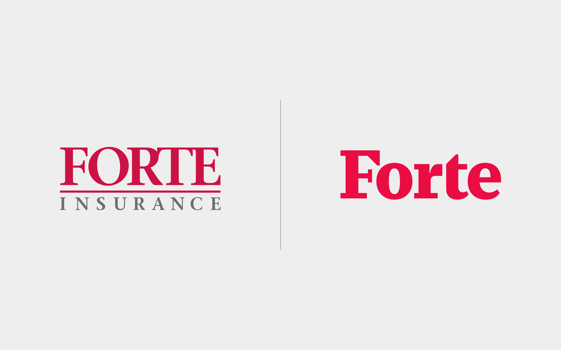 Forte-Brand-Identity-Design-2.1
