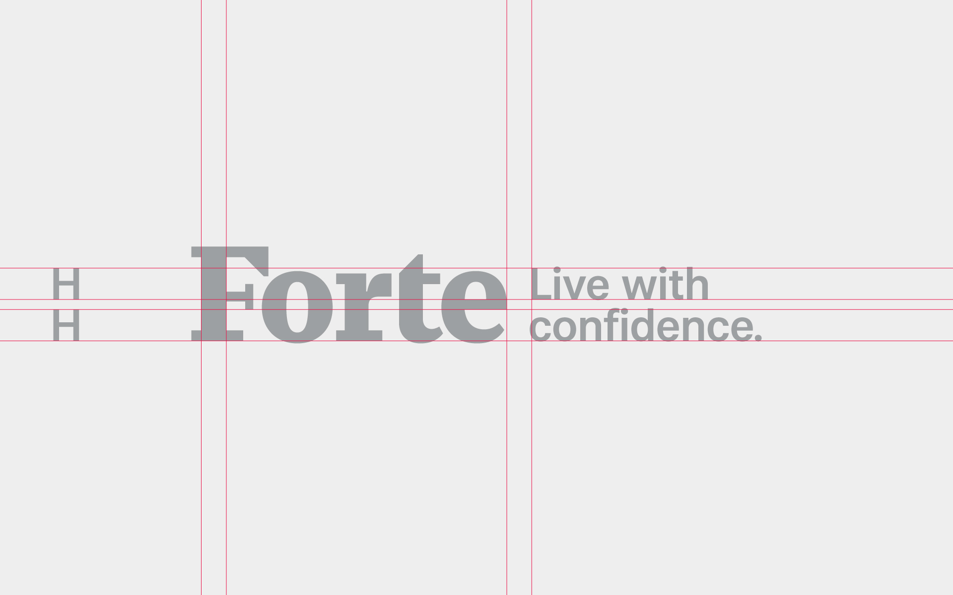 Forte-Brand-Identity-Design-30